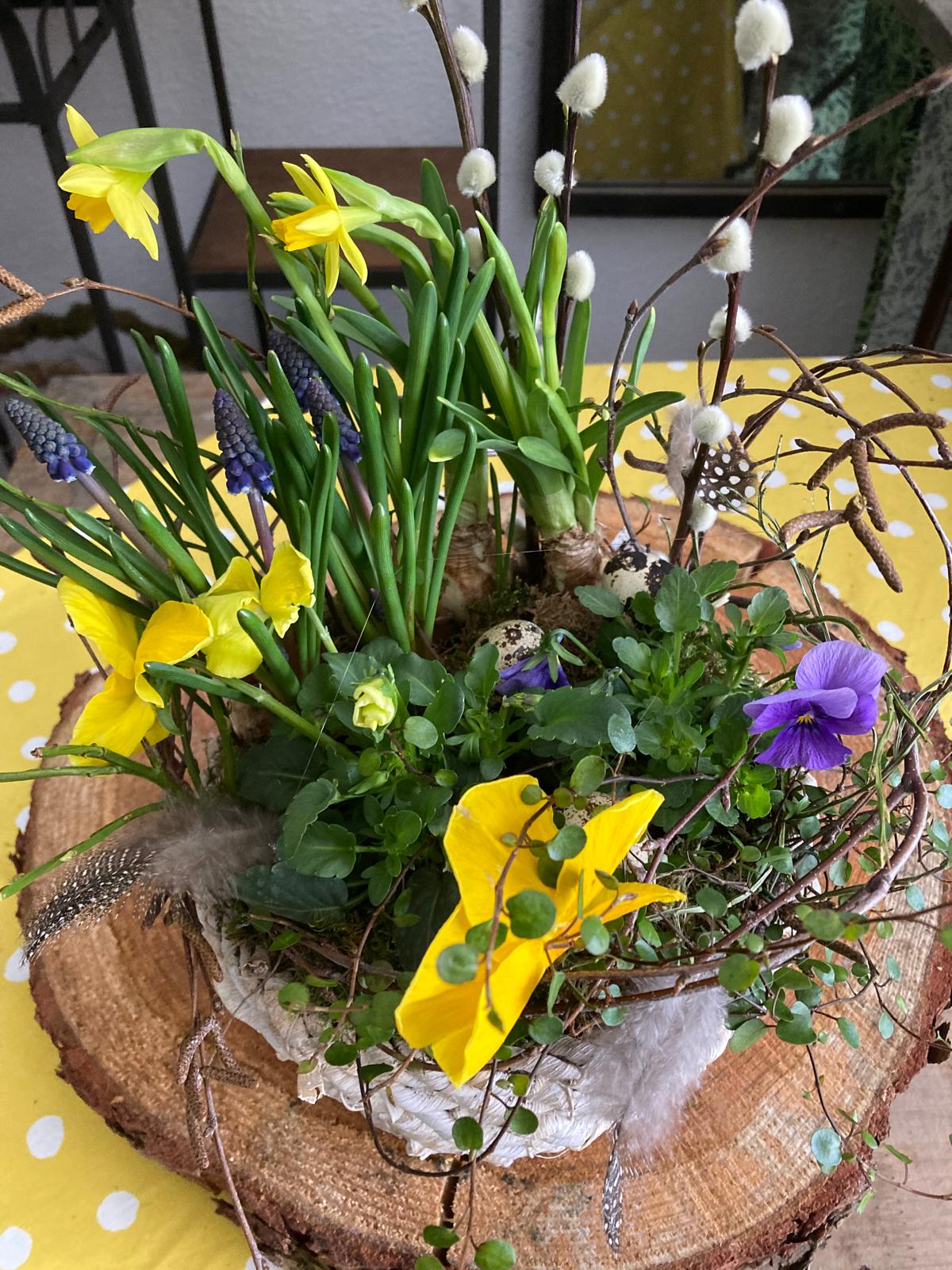 Frühlingsgesteck mit Narzissen und Traubenhyazinthen auf Holzscheibe