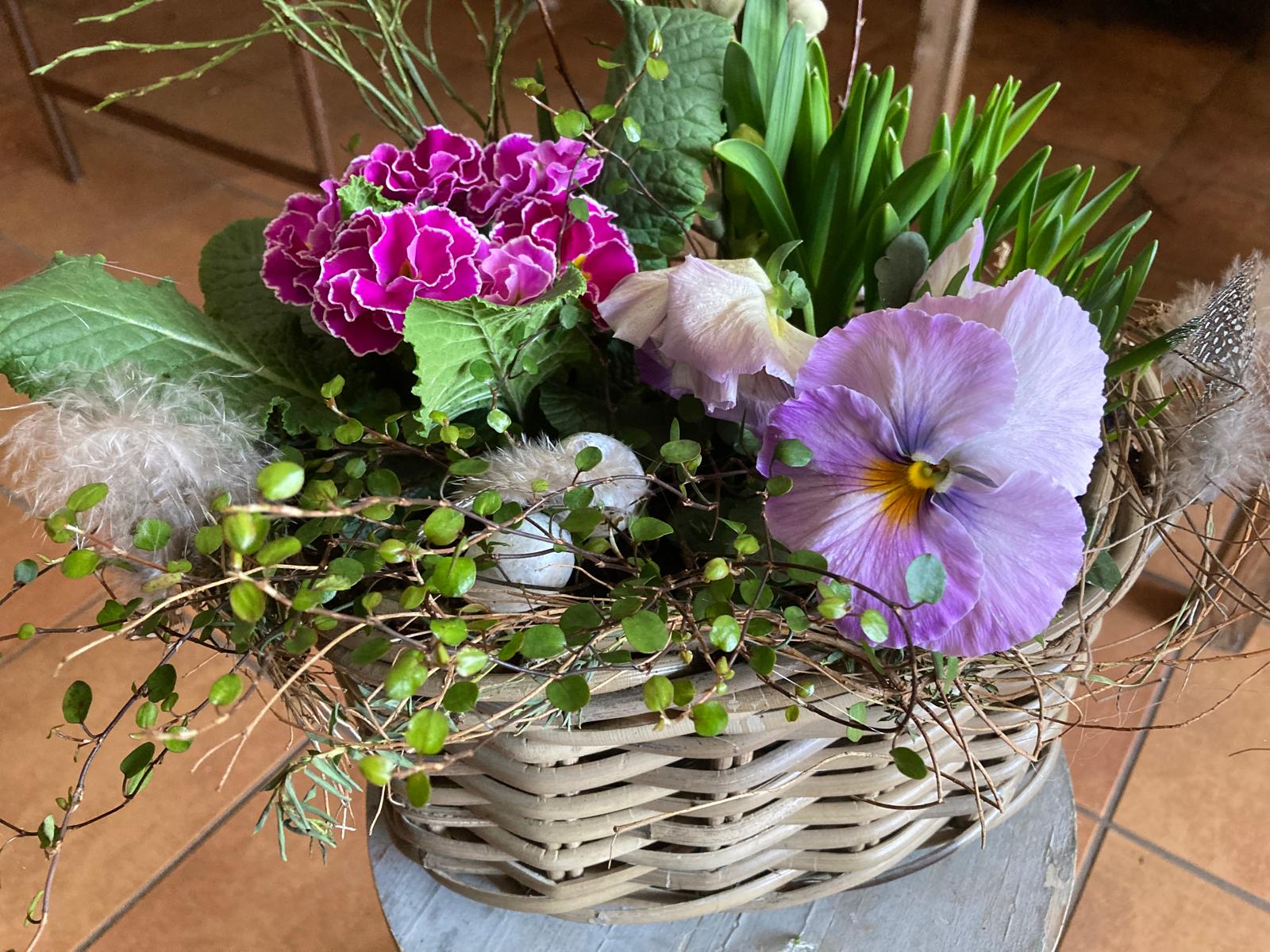 Pflanzkorb mit Hortensie und Stiefmütterchen