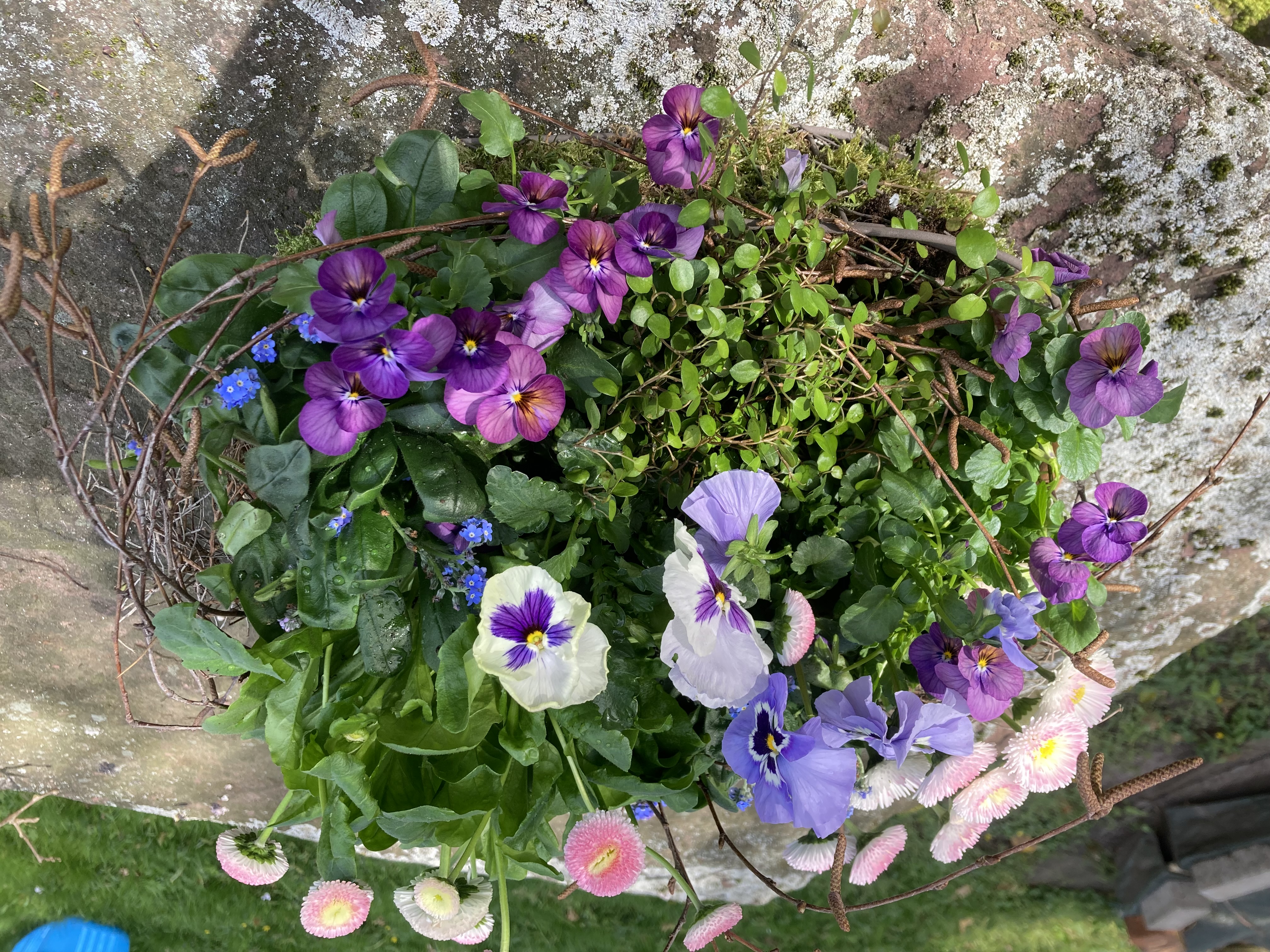 Blumengesteck mit Stiefmütterchen